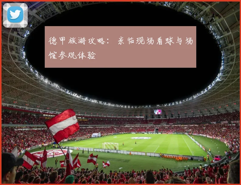 德甲旅游攻略:亲临现场看球与场馆参观体验